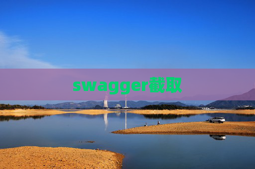 swagger截取 swagger截取